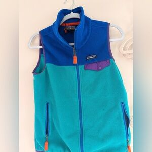 Vintage Patagonia Synchilla Fleece vest